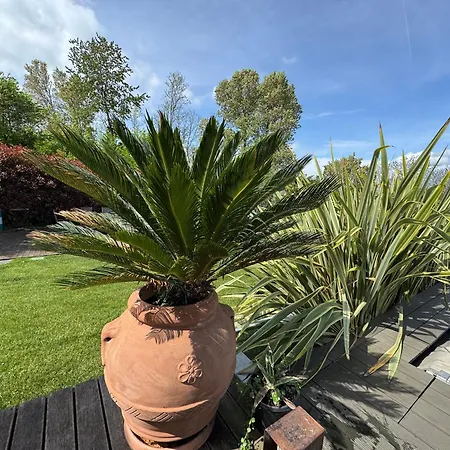 La Quiete -private Pool - Parking - Wifi *